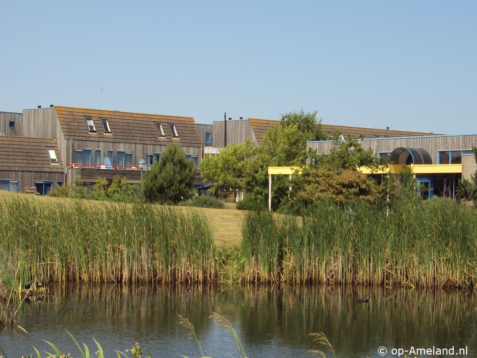 Klik hier voor meer informatie over Appartement Duynhaas