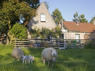 Klik hier voor meer informatie over Vakantiehuis Beppe van Ameland