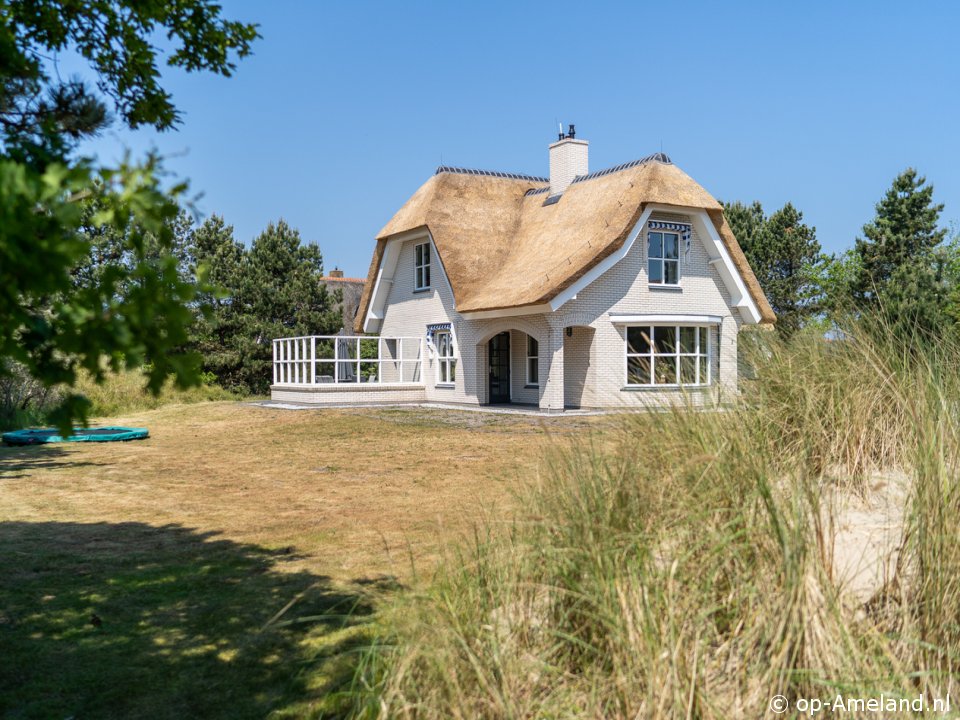 Klik hier voor meer informatie over Vakantiehuis De Duinen (Buren)